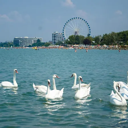 شقة In - Balaton 54365 شيوفوك