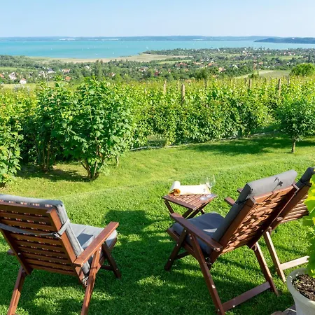 In - Balaton 54365 * שיופוק