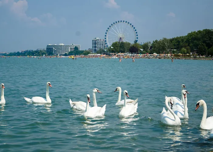 شقة In - Balaton 54365 شيوفوك
