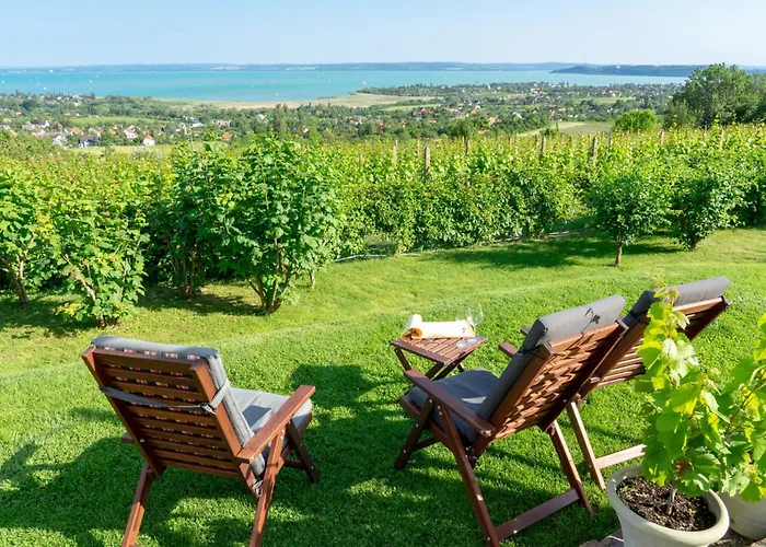 In - Balaton 54365 * שיופוק